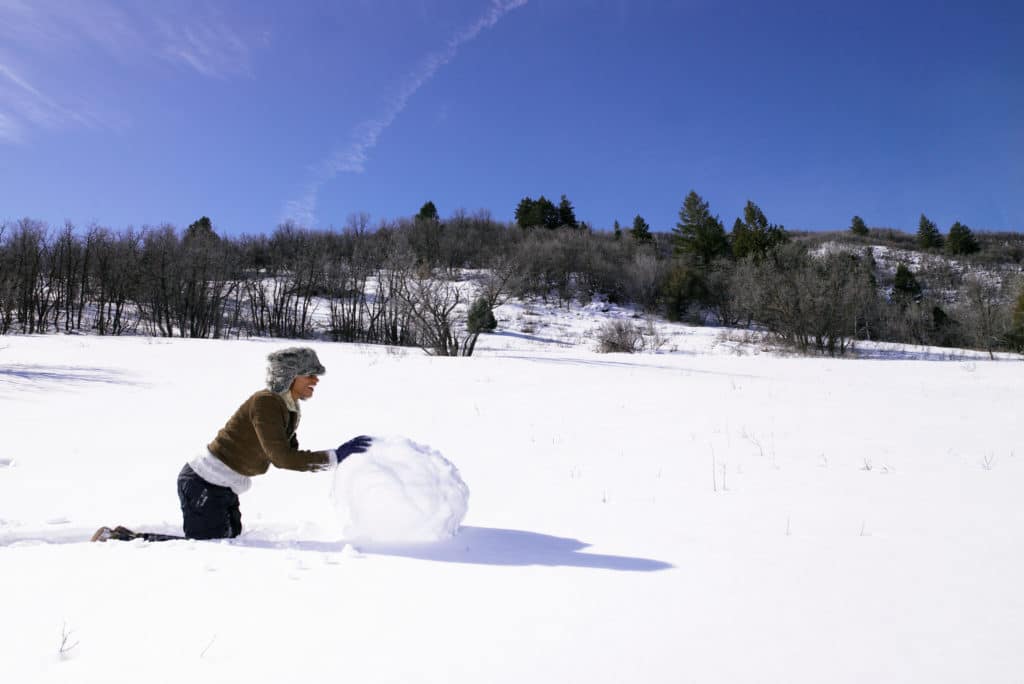 Debt Snowball